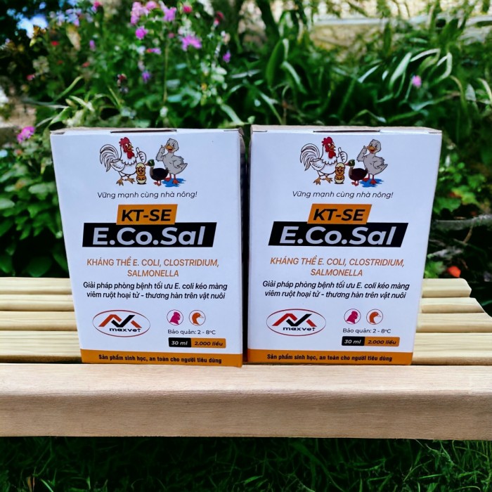 Kháng thể KT-SE E.Co.Sal