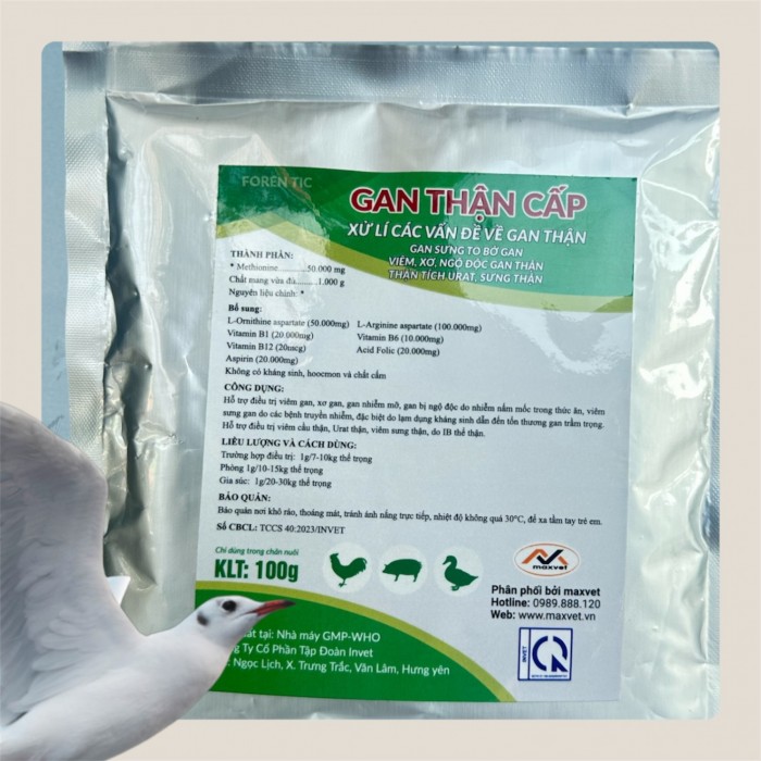Gan thận cấp (100g)