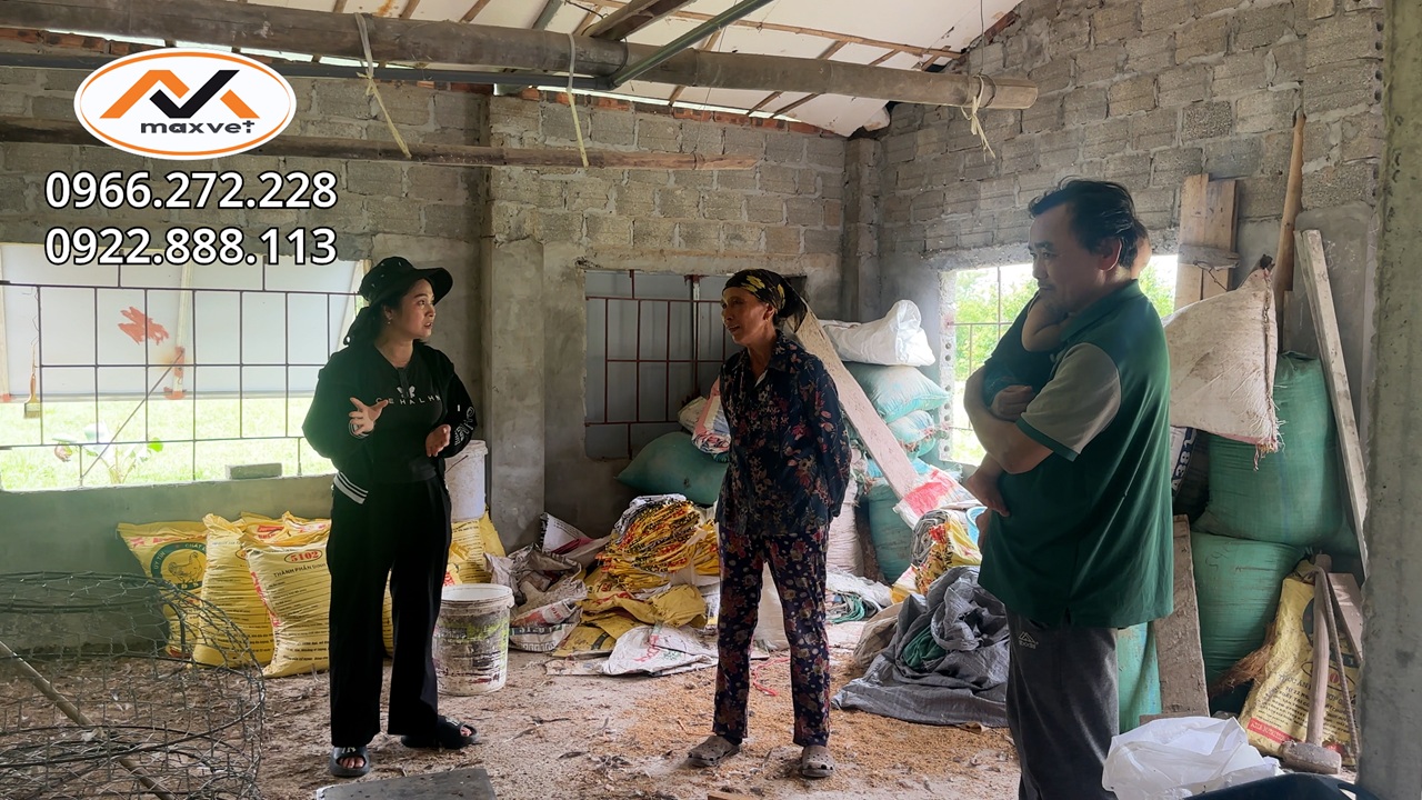 Bất ngờ với phản hồi từ người chăn nuôi về bí quyết giúp đàn gà khỏe mạnh không hen khẹc | KT Ecosal