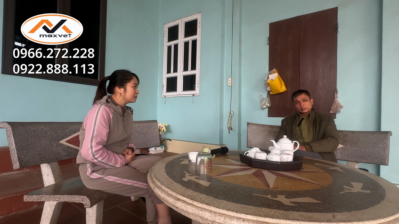 Giá gà quá rẻ nên bác chủ chuyển sang nuôi ngan|Có nên tận dụng chuồng gà để nuôi ngan vịt xiêm?