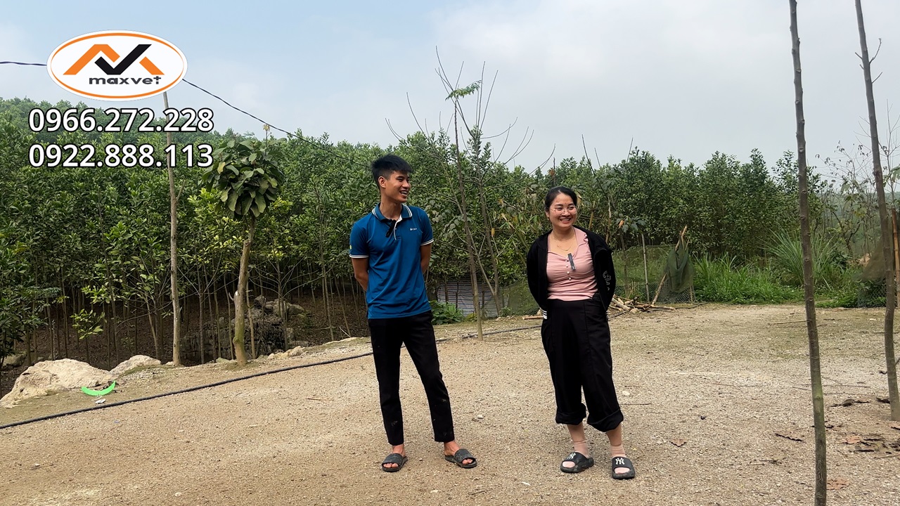 Chủ trại suýt huỷ cả Đàn gà vì bị tiêu chảy, đi ngoài quá nhiều nước,ăn cám nhiều nhưng ủ rũ xã cánh