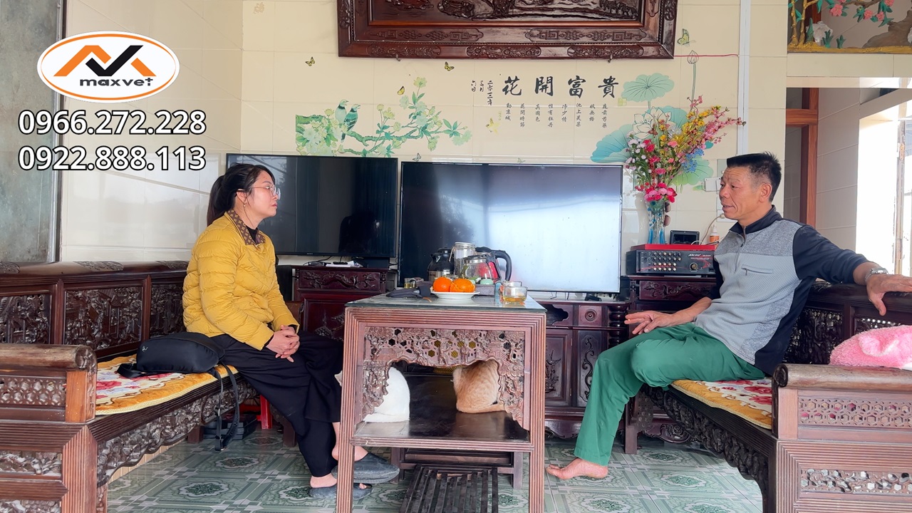 Suýt bỏ cả đàn ngan vì Bệnh Nấm phổi hen khẹc dai dẳng khó chữa | Bí quyết nuôi ngan vịt xiêm
