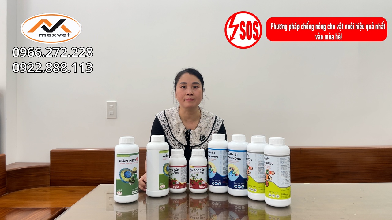 Thời tiết khắc nghiệt, mùa hè cháy da cháy thịt, hãy nắm lòng những mẹo chống nóng siêu hiệu quả